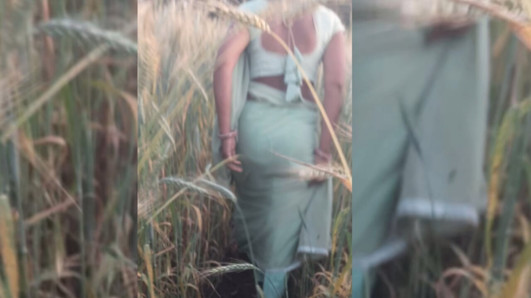Desi beautiful sister-in-law is rubbing her ass in the wheat field Tormenting her brother-in-law for sex