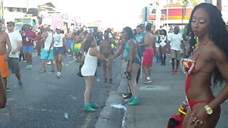Carnival 2015