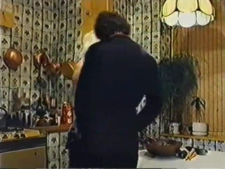Seka gets cock in the kitchen