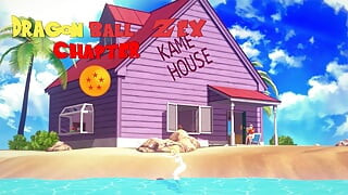 Kame Roshi offers help to Android 18 in exchange for a favor - Dragon Ball Zex Series