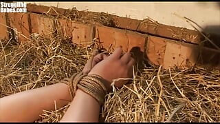 Erika Bound Ballgagged Titgrabbed
